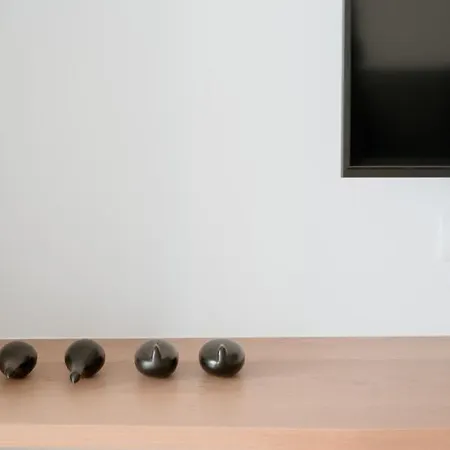 Mon Signor (adults Only)